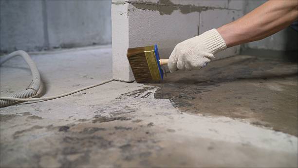 24/7 Emergency Wet Basement Repair experts in Roebling, NJ